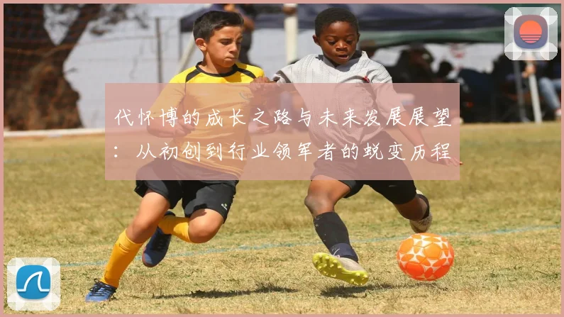 代怀博的成长之路与未来发展展望：从初创到行业领军者的蜕变历程