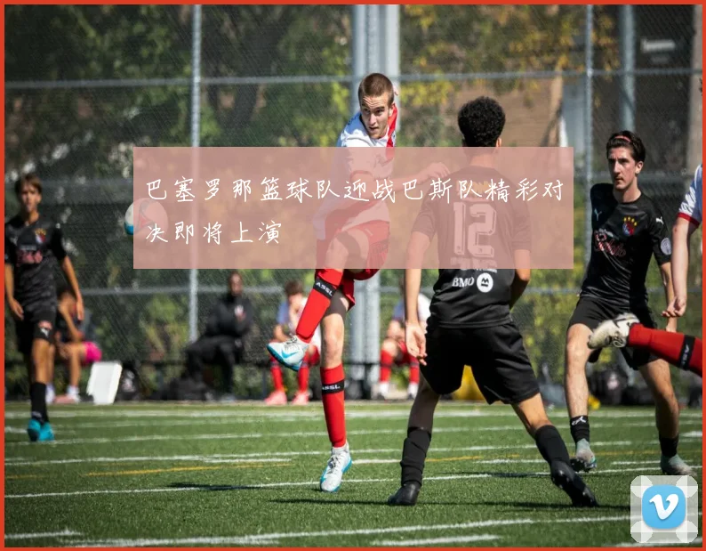 巴塞罗那篮球队迎战巴斯队精彩对决即将上演