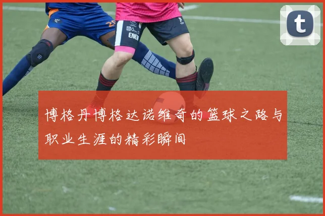 博格丹博格达诺维奇的篮球之路与职业生涯的精彩瞬间