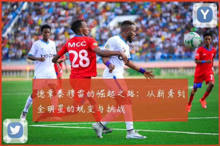 德章泰穆雷的崛起之路：从新秀到全明星的蜕变与挑战