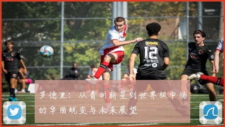 罗德里：从青训新星到世界级中场的华丽蜕变与未来展望