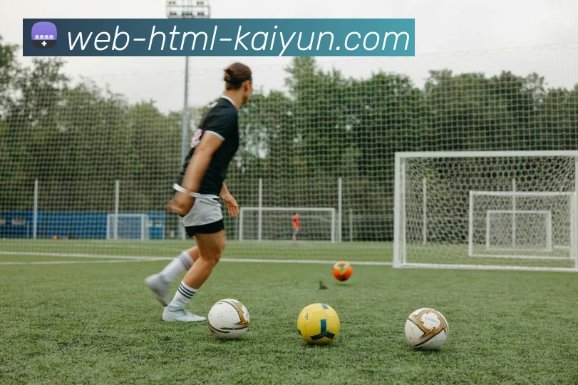 开云体育平台生态图